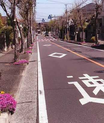 春のメイン通り